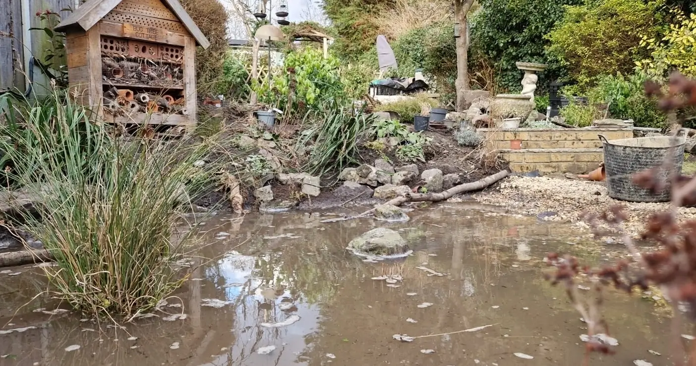 A garden scene featuring various plants and stones, with a small stream of water flowing through.