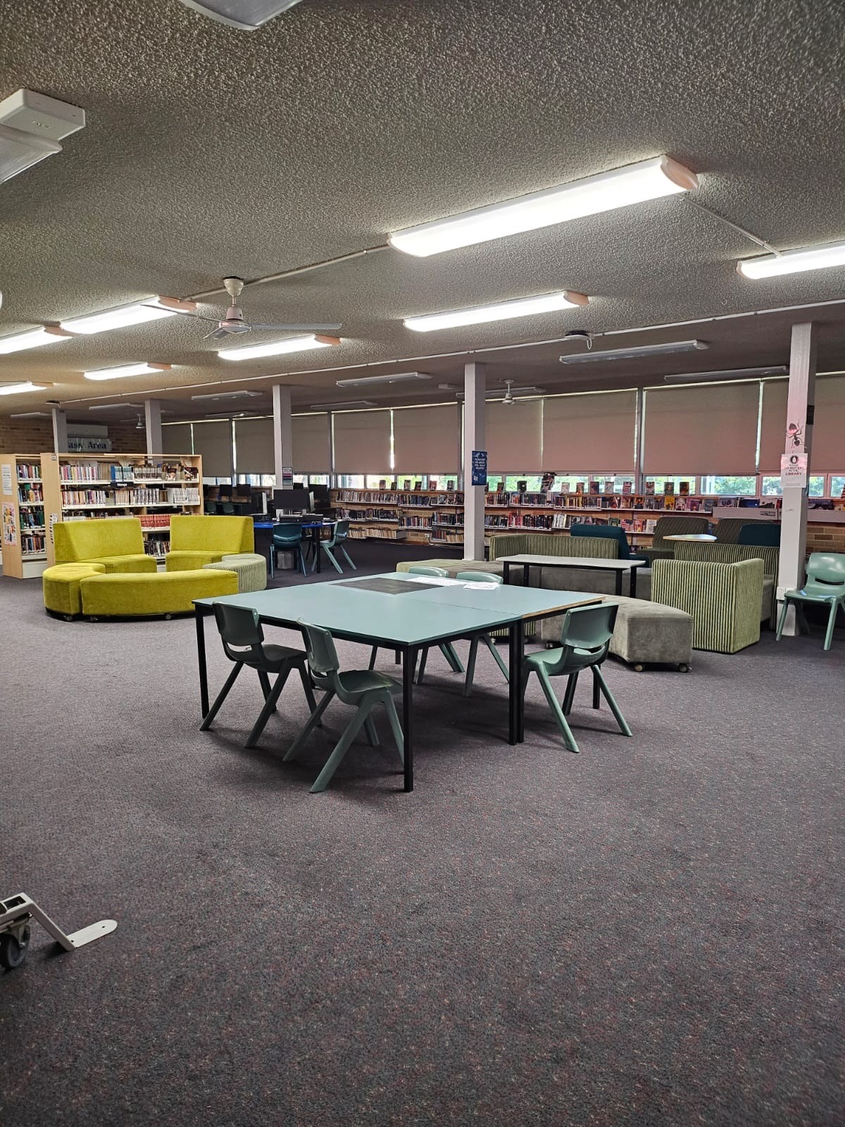 Termite and pest infestation at a church with floors pulled up