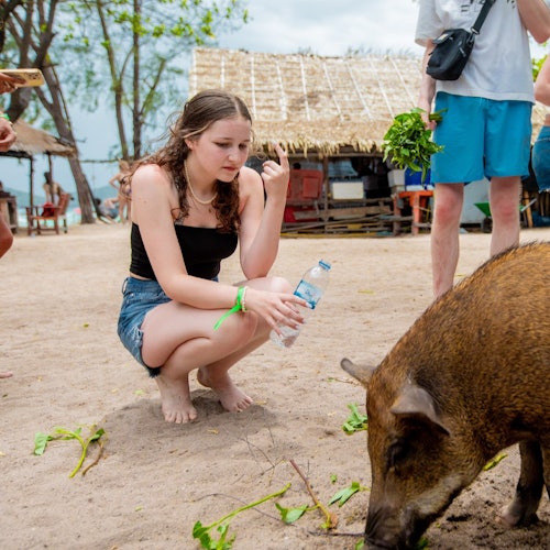 Tan & Pig Islands: Guided Speedboat Tour from Koh Samui + Pink Dolphin Spotting