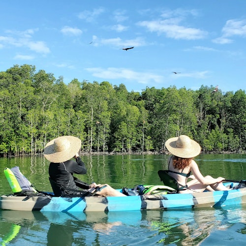 基利姆地質公園：蘭卡威的導覽紅樹林皮艇之旅 + 午餐門票