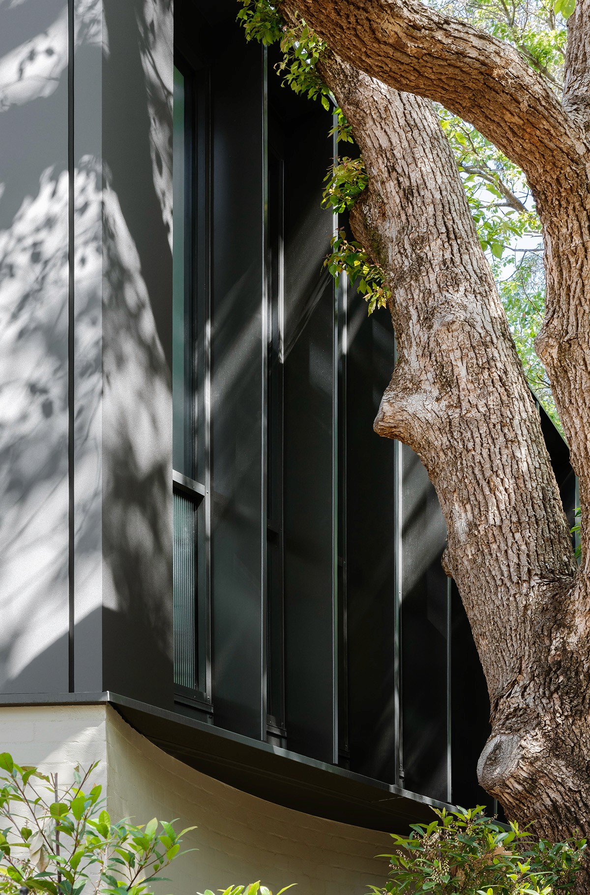 Close exterior view of the Treehouse where black metal cladding meets a retained tree trunk, highlighting the project’s integration with the surrounding landscape.