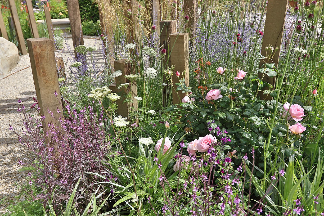 A close-up view of vibrant flowers and greenery in a garden setting with wooden structures in the background.