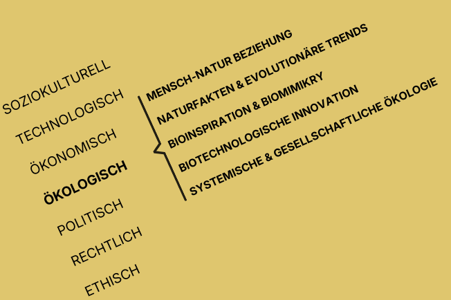 Auflistung der STEEPLE-Taxonomie mit vertiefenden Kategorien unter Ökologisch: Mensch-Natur Beziehung, Naturfakten & evolutionäre Trends, Bioinspiration & Biomimikry, Biotechnologische Innovation, systemische & gesellschaftliche Ökologie