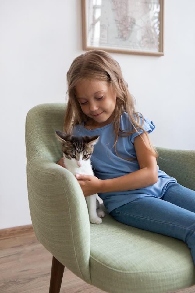 Picture of a young girl sitting on a chair petting a cat