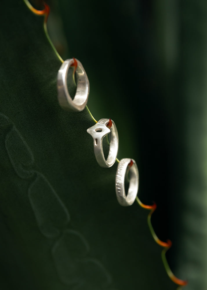 Three silver rings on a dark green cactus
