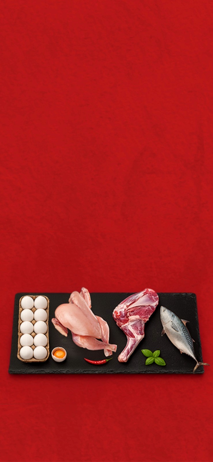 Premium fresh chicken, eggs, and seafood products from My Chicken and More