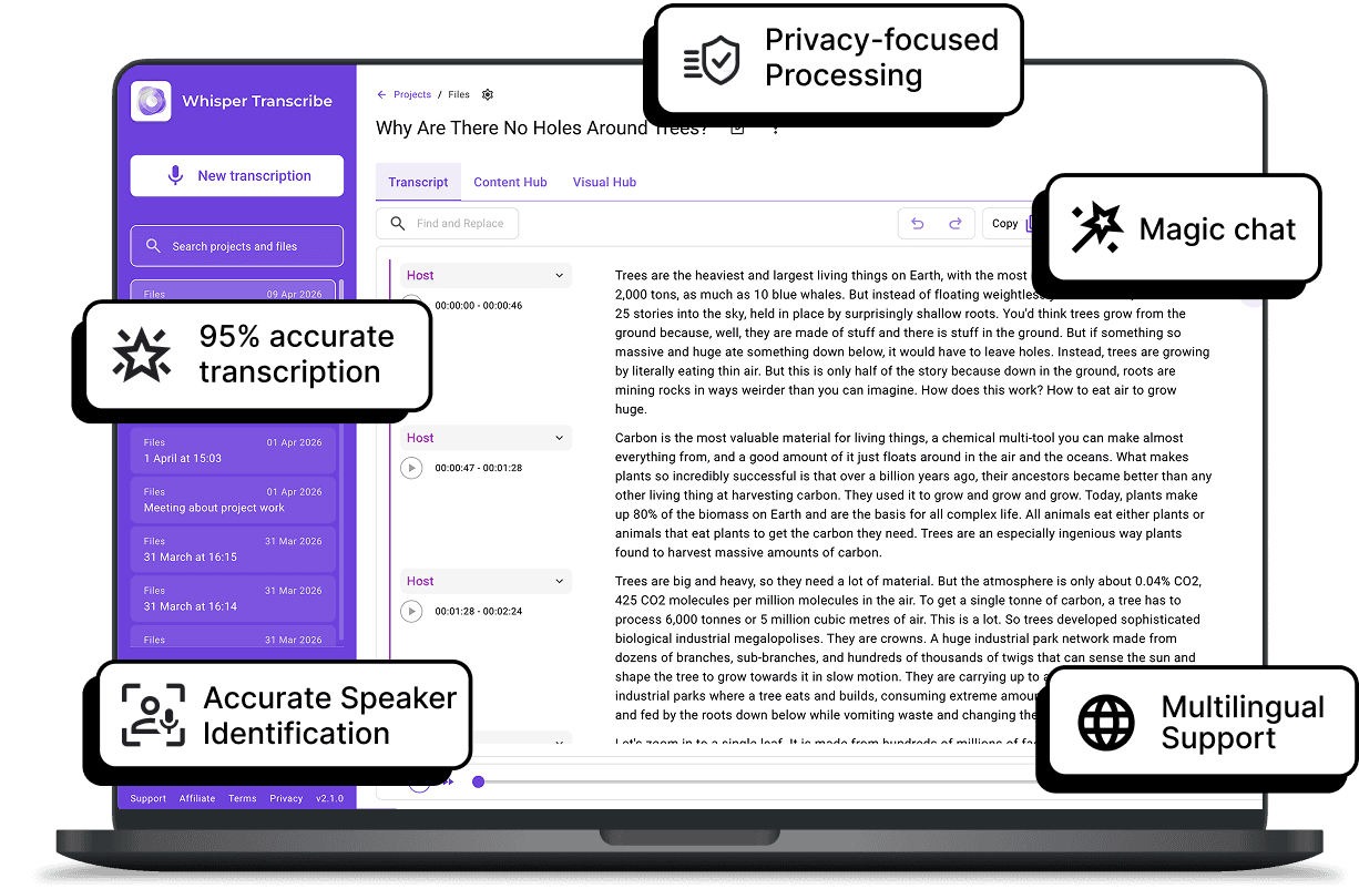 WhispeerTrasncribe interface for WAV transcription