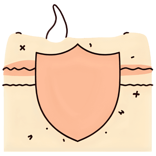 Refined line icon of a shield wrapped around three stacked horizontal layers representing the skin barrier, with tiny arrows bouncing off the outside, thin warm dark brown stroke, cream background, flat vector, conveying strong, protected skin barrier.