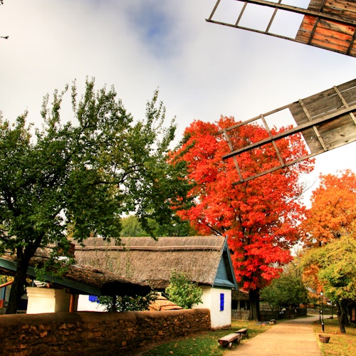 在绿红相间的秋季树木环绕中，传统的茅草屋顶房屋与头顶的风车木叶相映成趣。