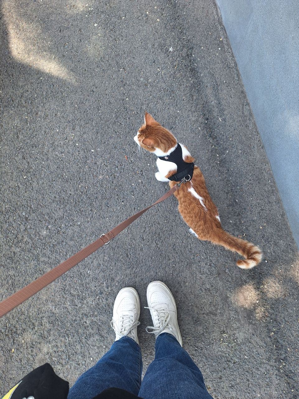 The image featured at the top of the about us page #2