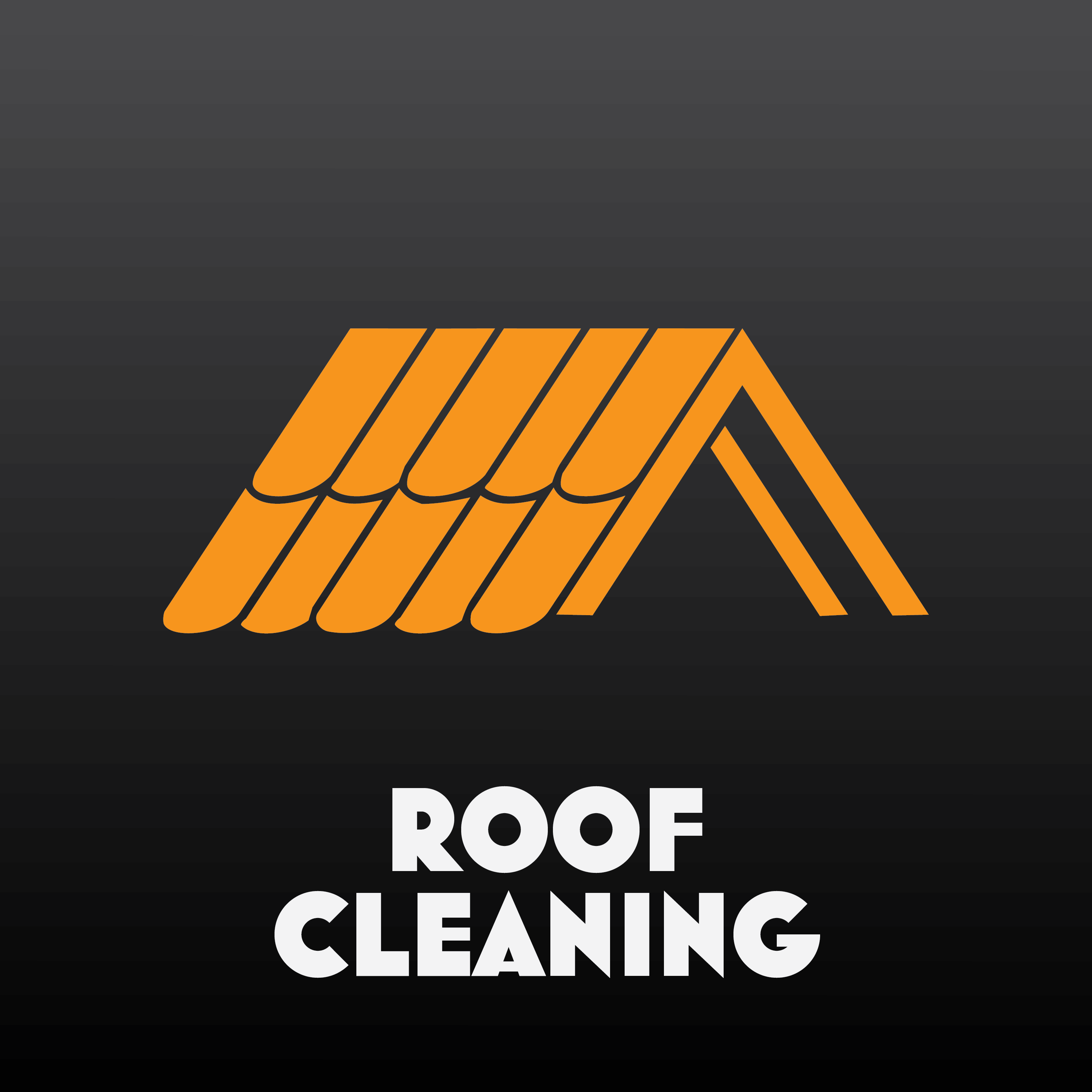 Roof Cleaning
