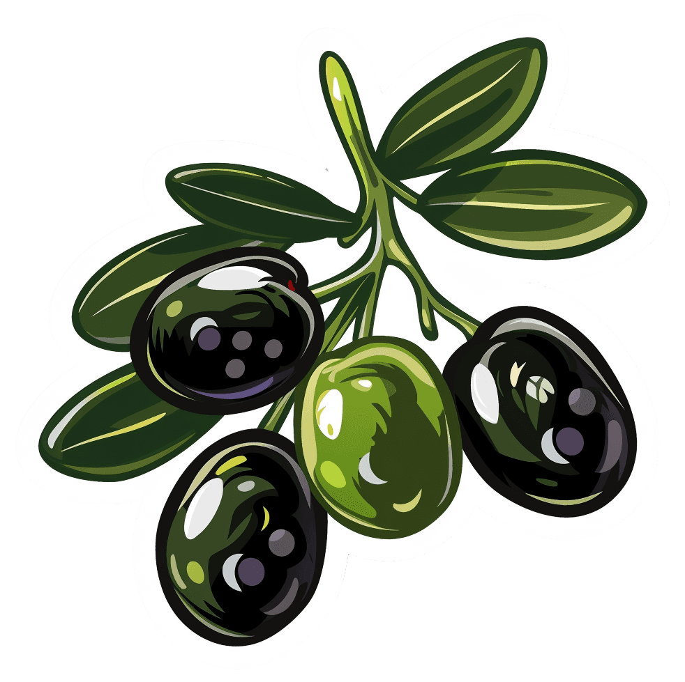 vector green and black olives