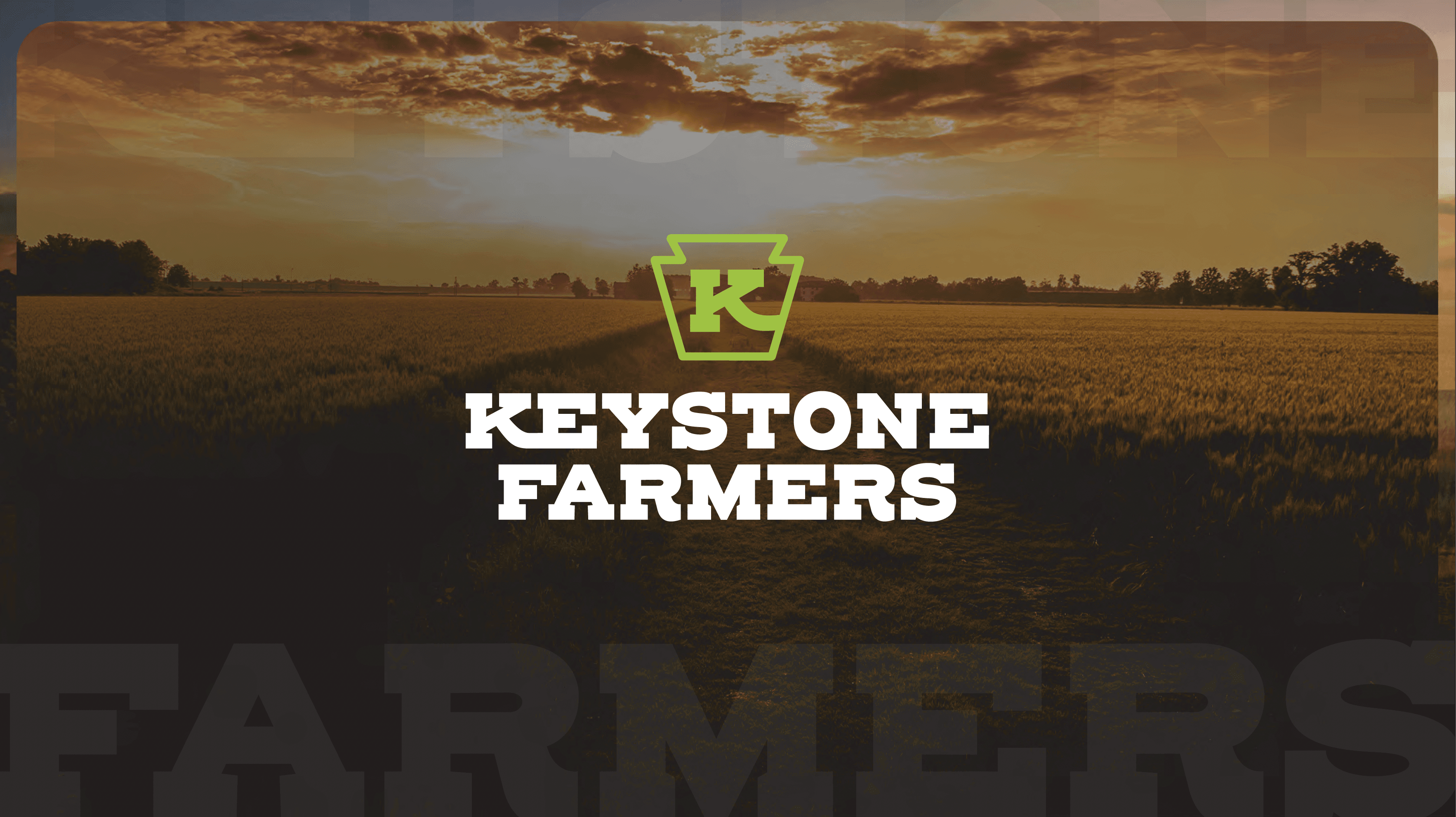 A pile of boxes sitting in front of a building