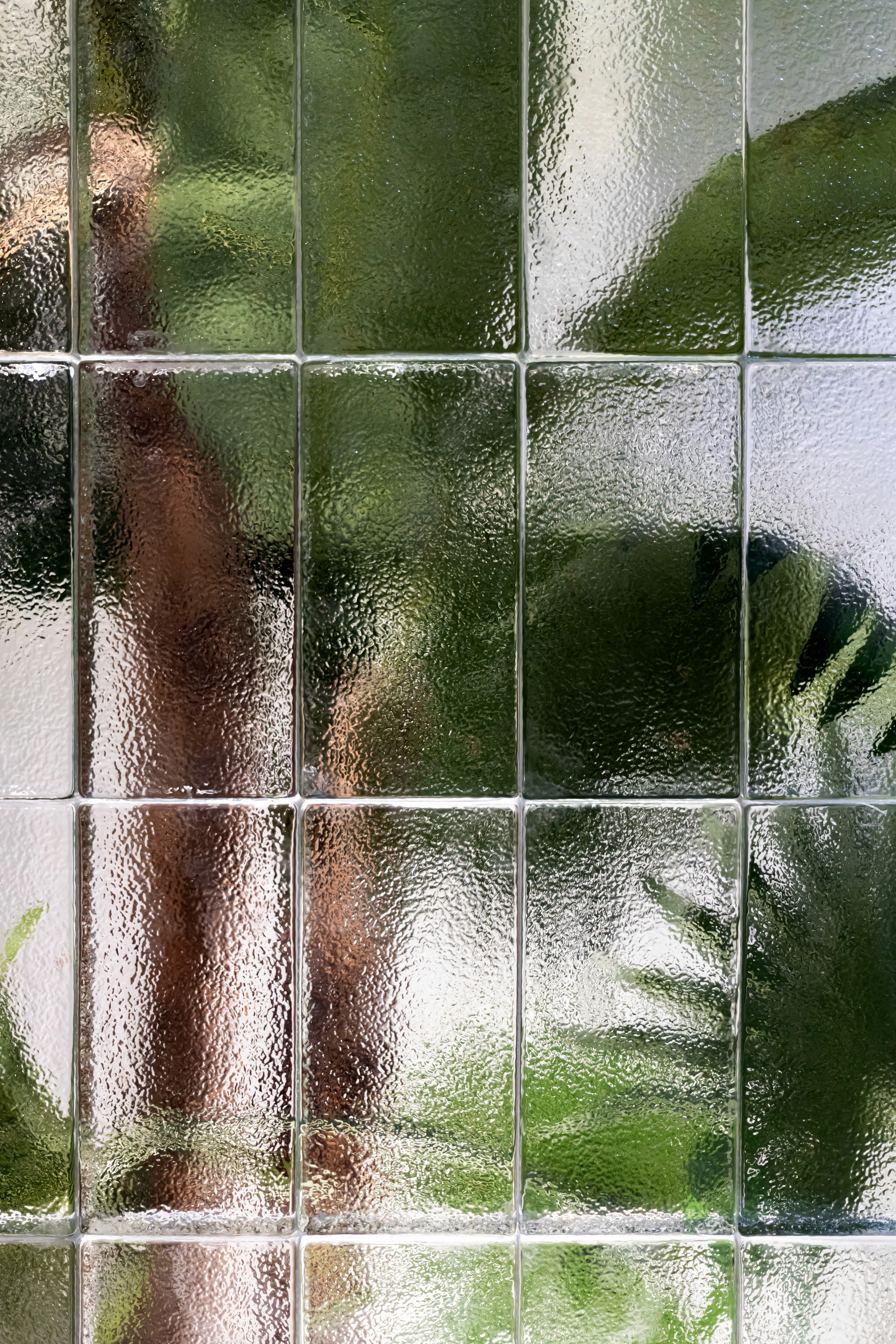 Close-up of the translucent glass block wall showing the silhouette of integrated indoor plants behind the textured glazing