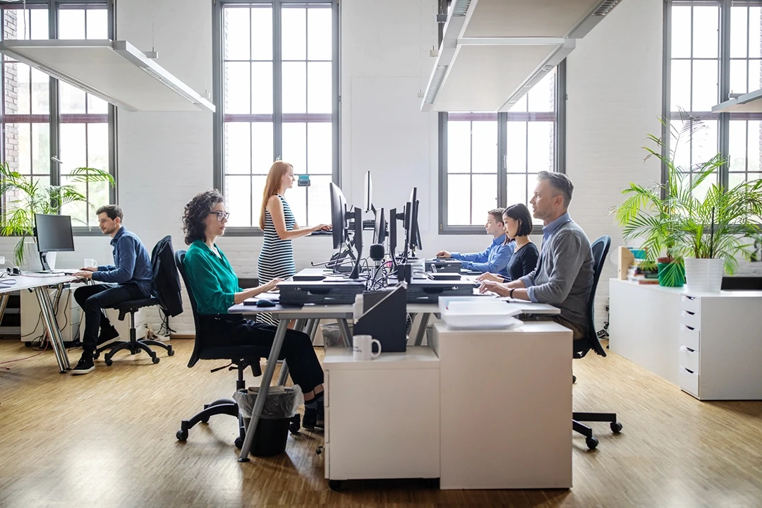 People working in large, light office with plants and overhanging lights, on computer screens that are back to back