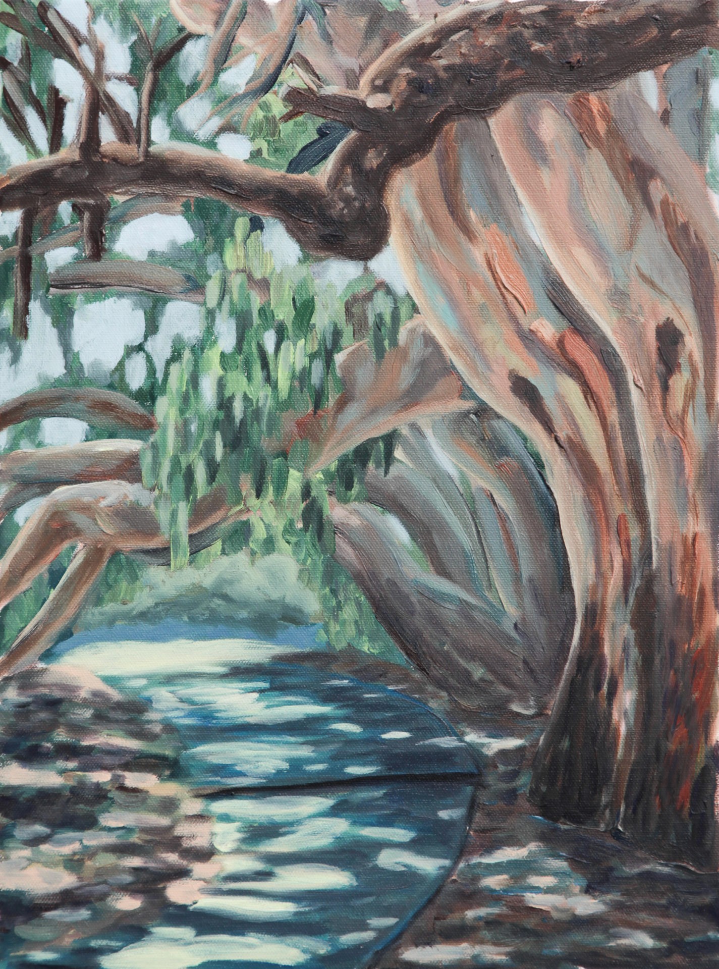 Painting of a path through eucalyptus trees in dappled light