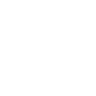 Panda, dental scanner logo in white