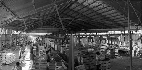 Panorámica de industria frutícola. .