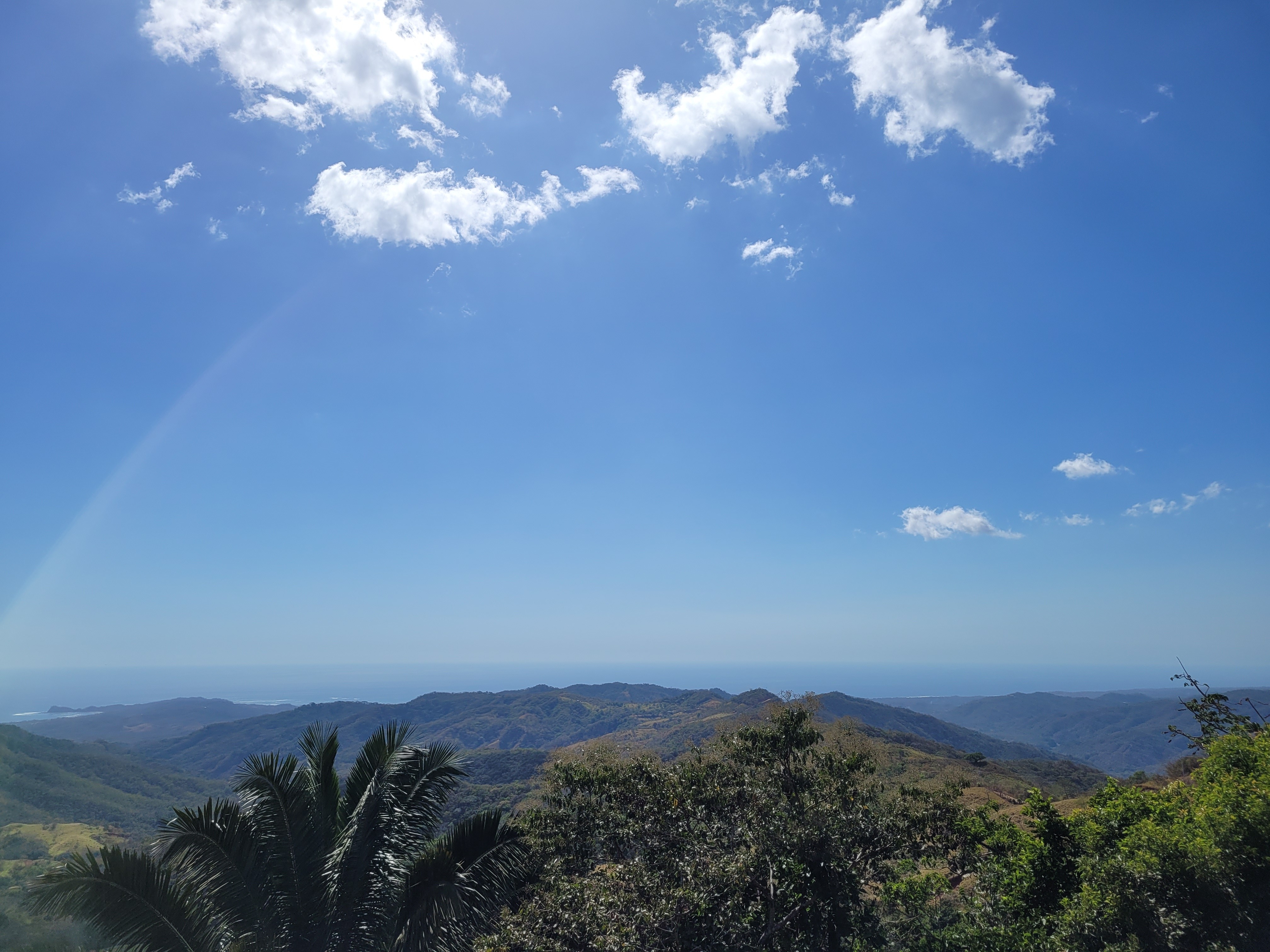 Image of Lavish Pool Surrounded by the garden and the villa