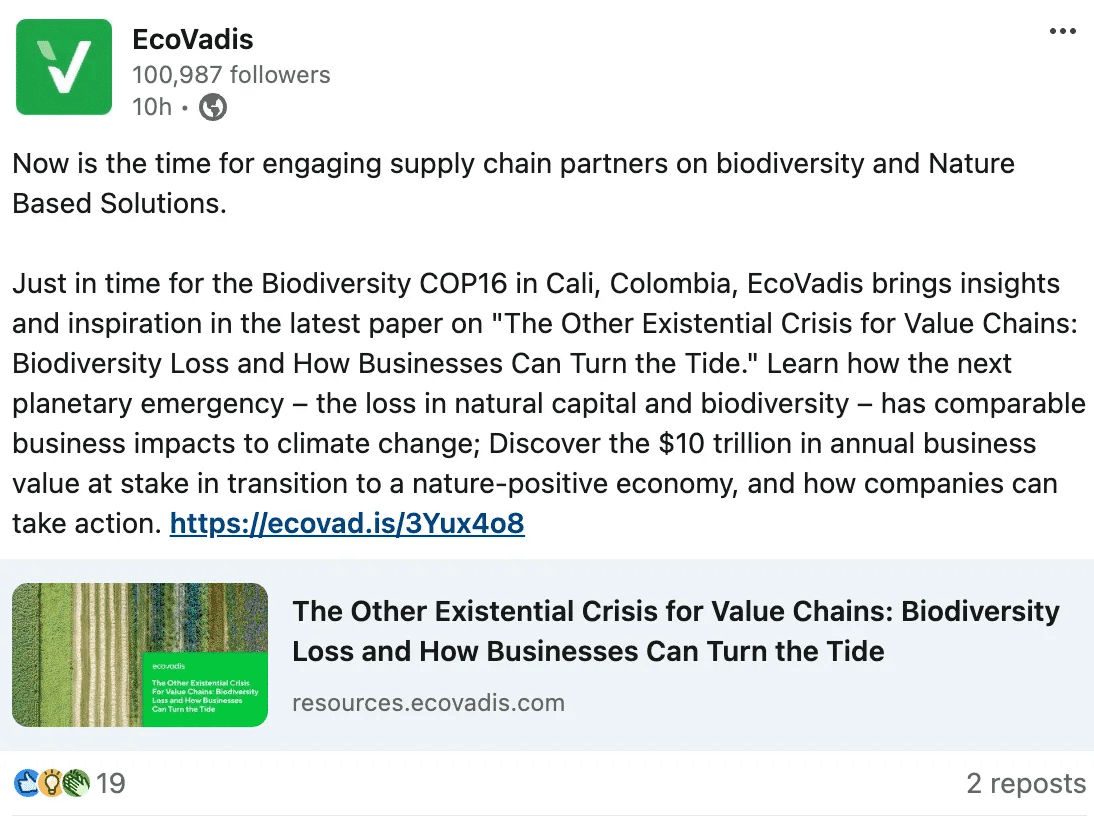 Marketing Spotlight: EcoVadis