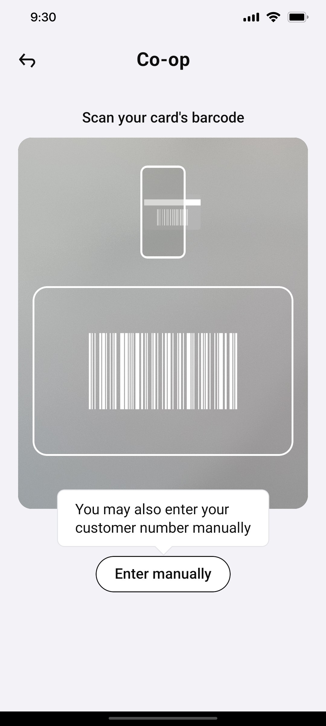 Klarna Enter Manually Page Screen