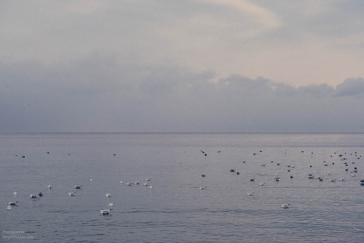 Одесса. Зима 2017. Фотограф: Сергей Чирков. Odessa, winter 2017. Photographer: Sergei Chyrkov.