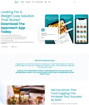 Home page image of custom web design done by us.
