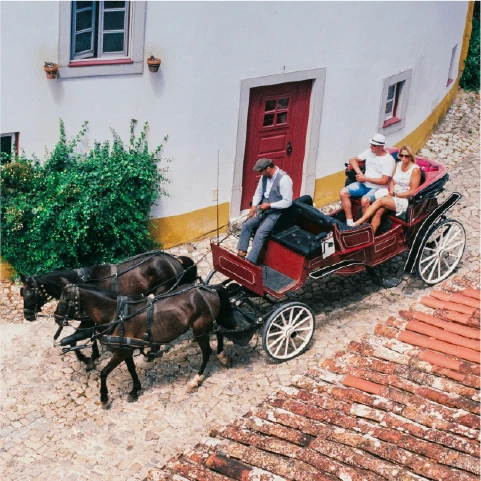 2 brown horses with carriage in front of brown brick building
