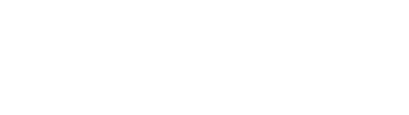 BII - British International Investment