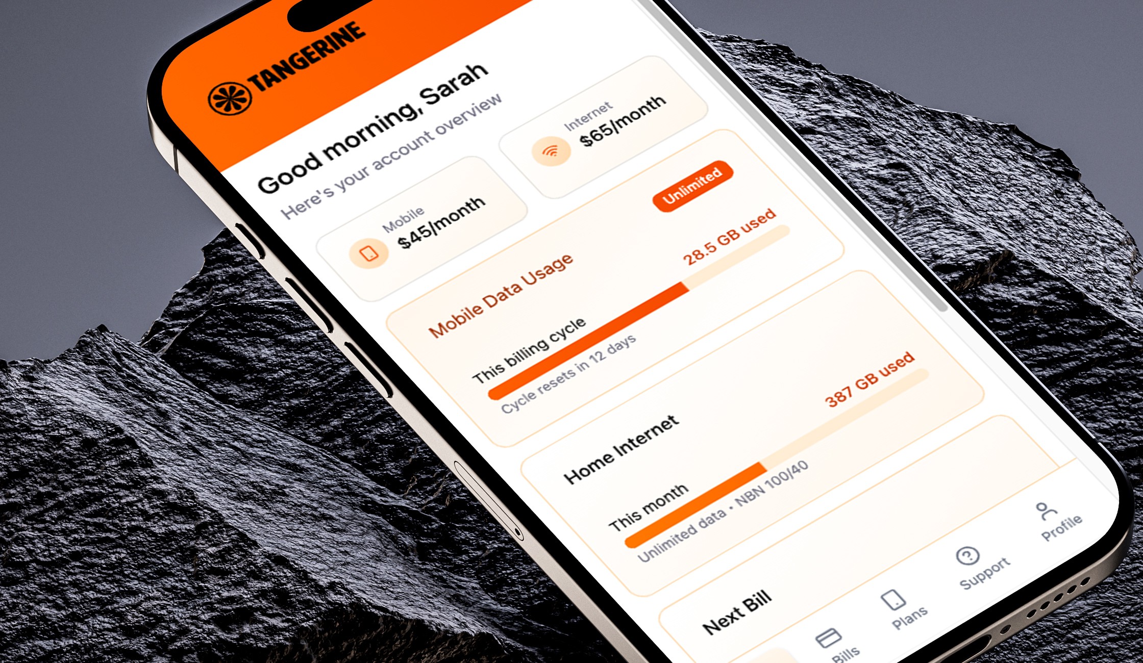 Tangerine mobile app - intro screen