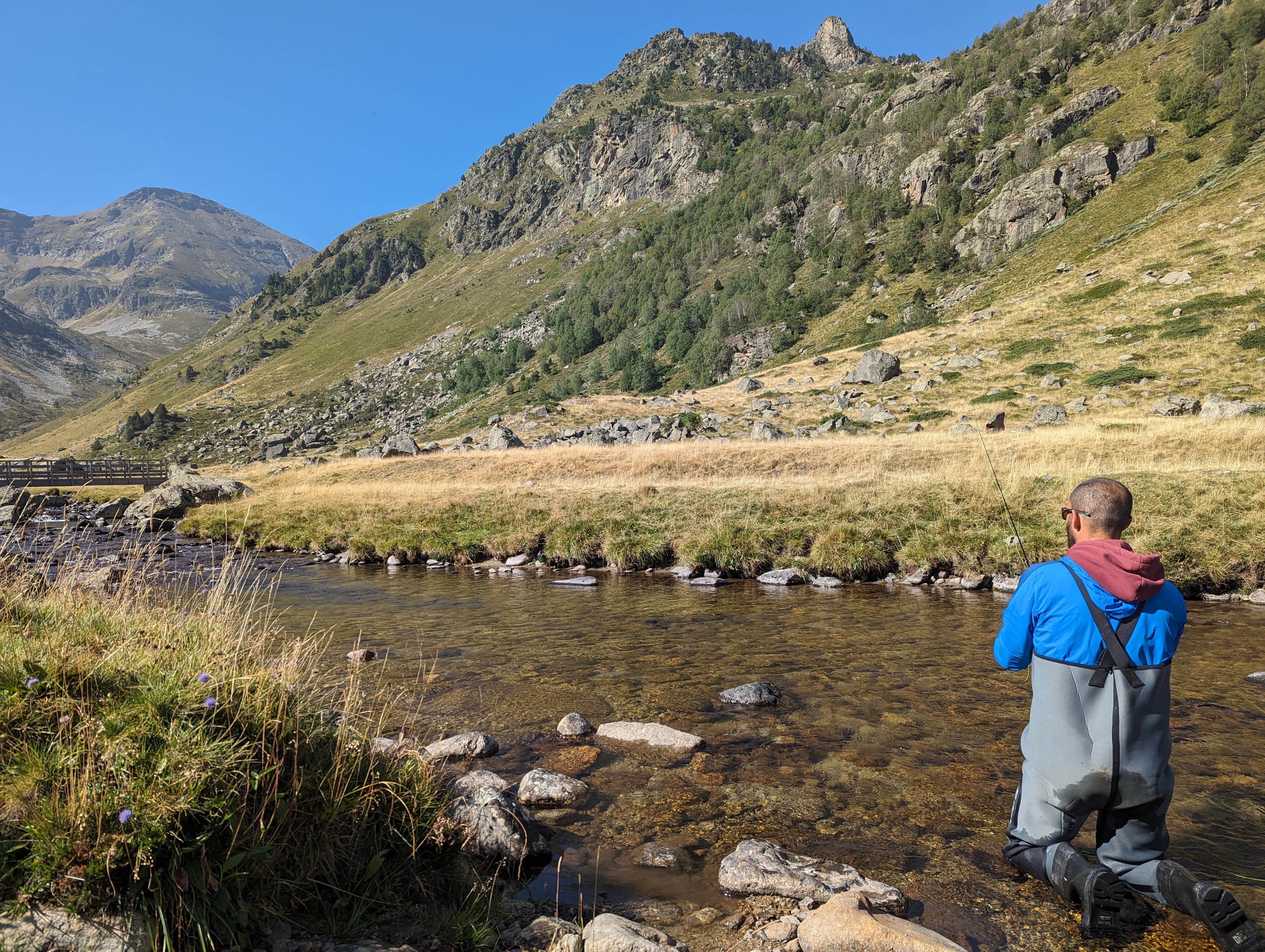 Peaceful fly fishing in the Pyrenees: catching wild trout in the crystal-clear rivers of the French mountains.