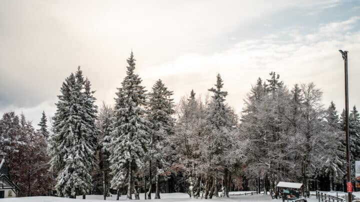 Slika Koroške regije