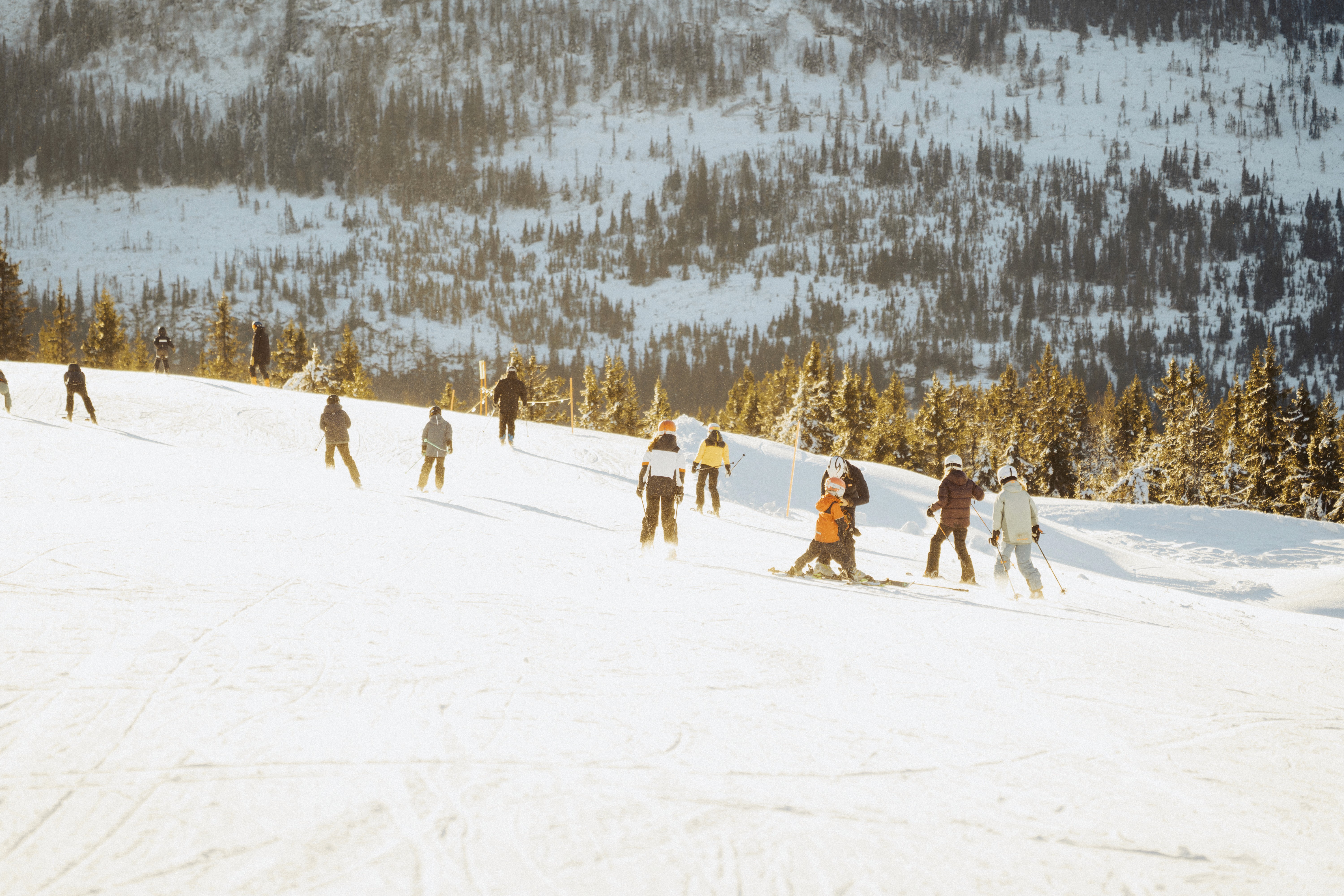 fotograf lillehammer - ski alpinco