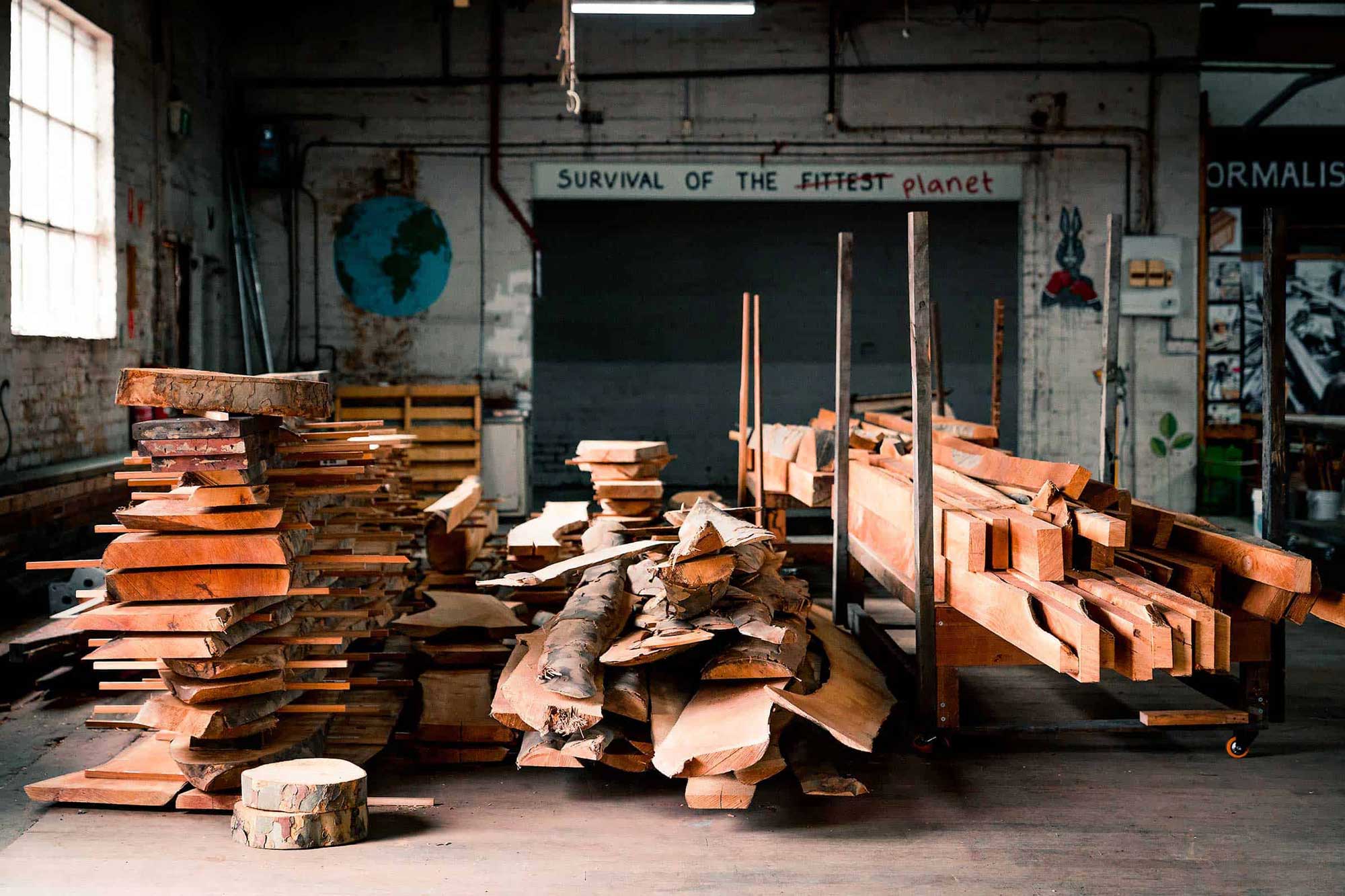 Revival environmental design: Stacks of salvaged timber in a workshop with "Survival of the Planet" wall text.