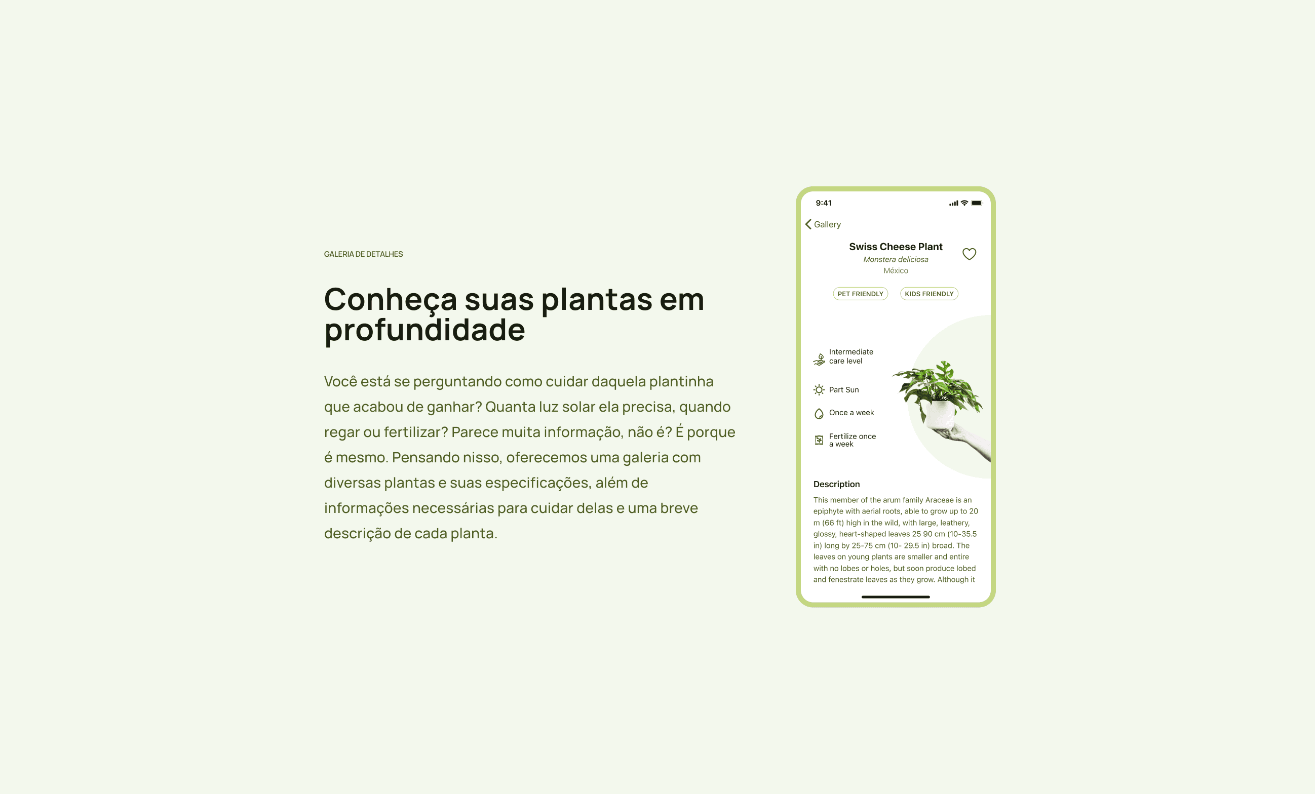 Conheça suas plantas em profundidade