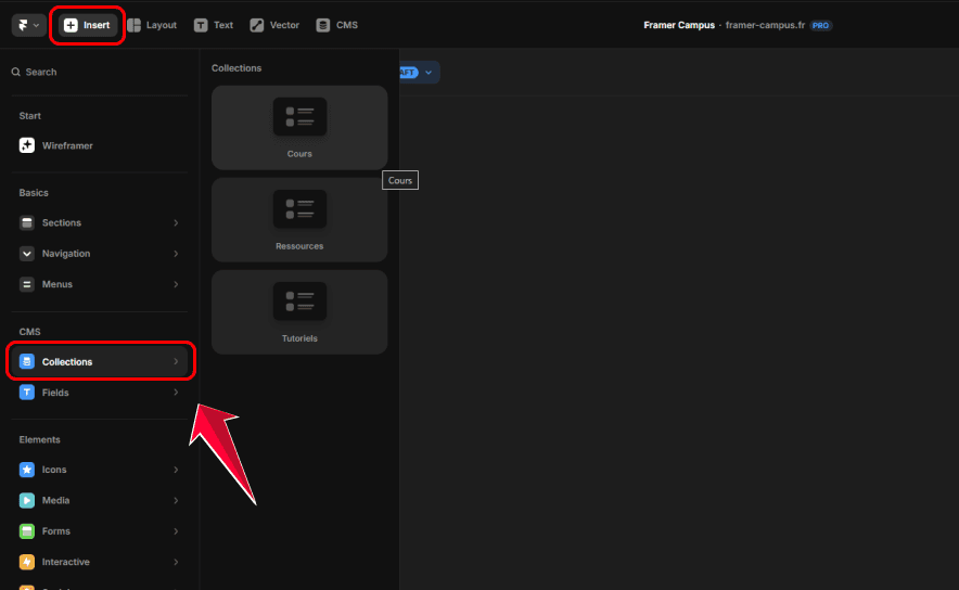 Interface Framer pour accéder aux collections CMS et gérer le contenu dynamique