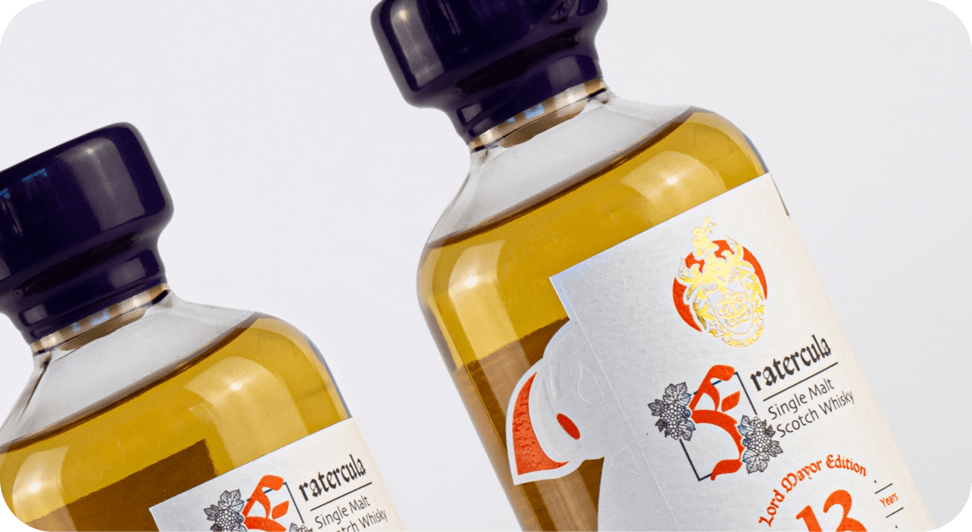 Fratercula_StudioReekee