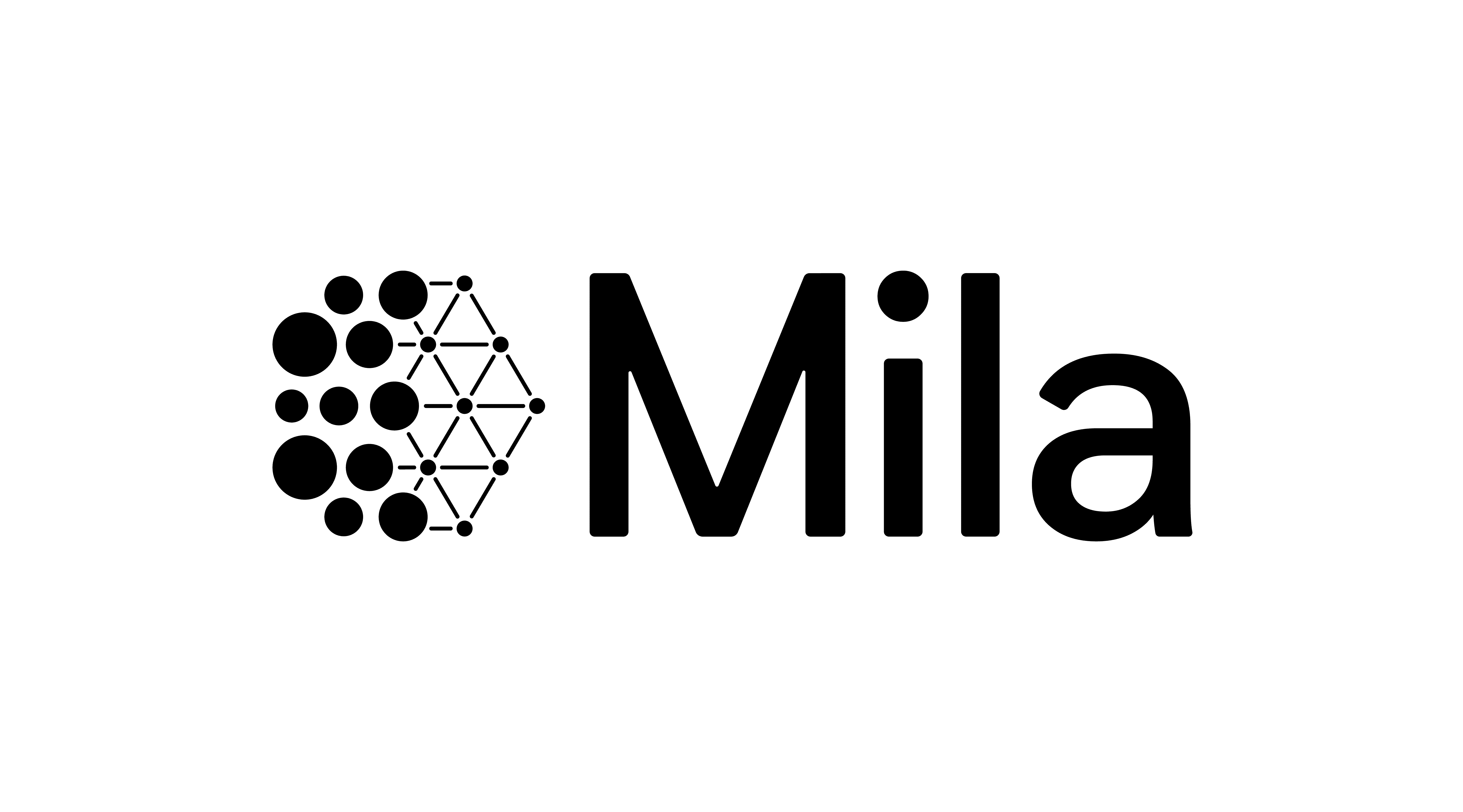 Advanced AI, machine learning, and foundation models expertise with scientific rigor from Mila on the Elementera team