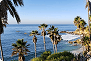 View of a sunny coastline with palm trees and turquoise water to capture serene, vibrant California beach vibes.