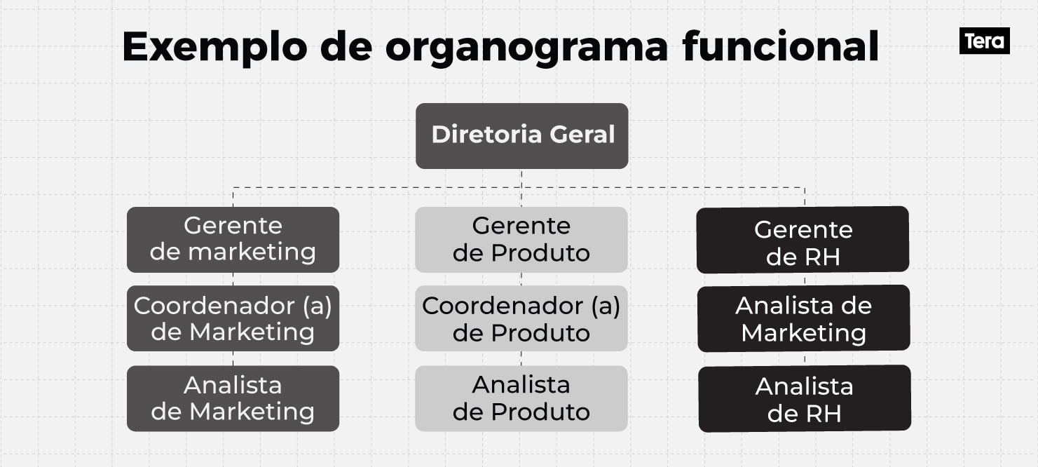 exemplo organograma funcional