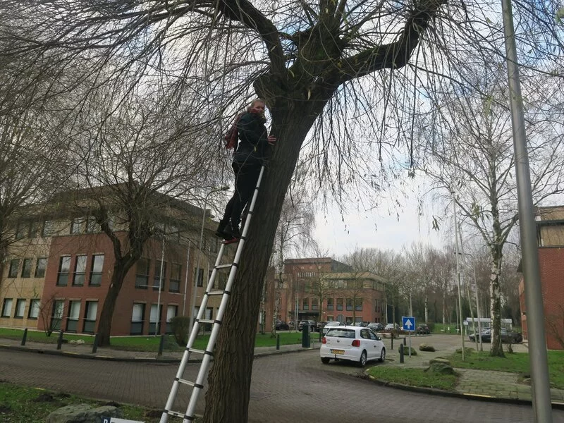 Werken bij Blom Ecologie