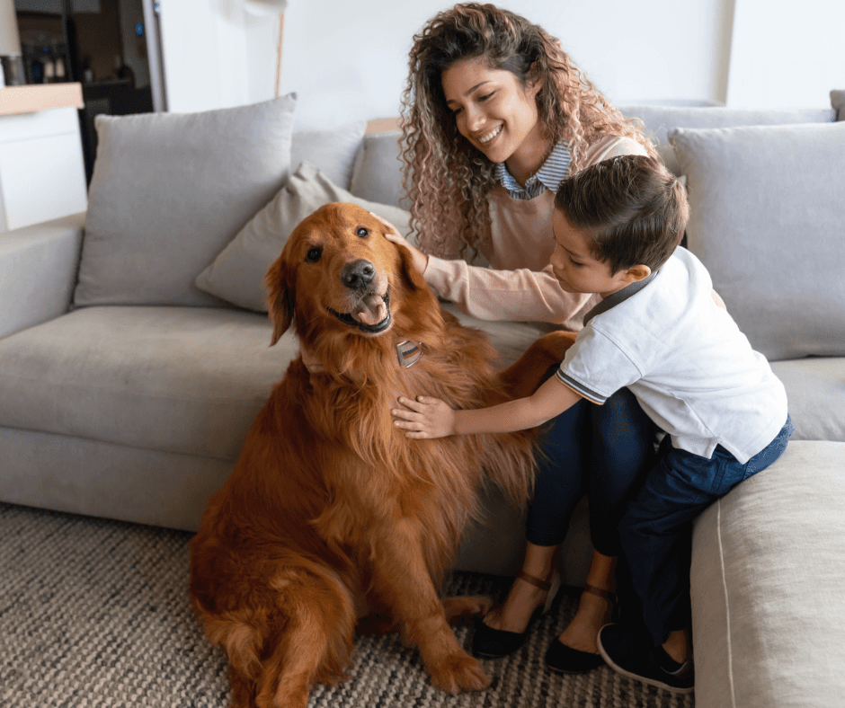 happy family petting dog in clean home