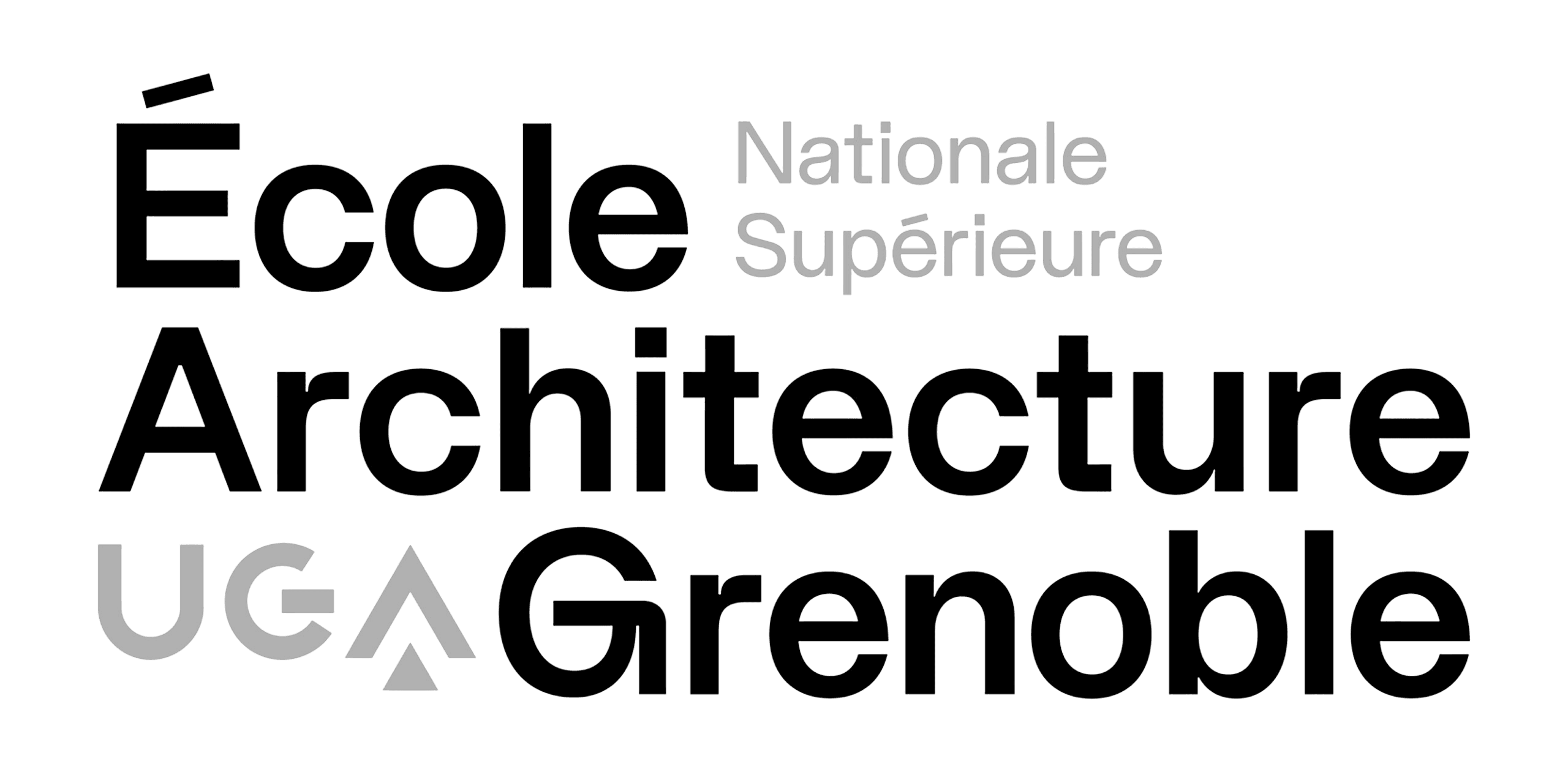 Logo Ecole Nationale Superieur d'Architecture grenoble