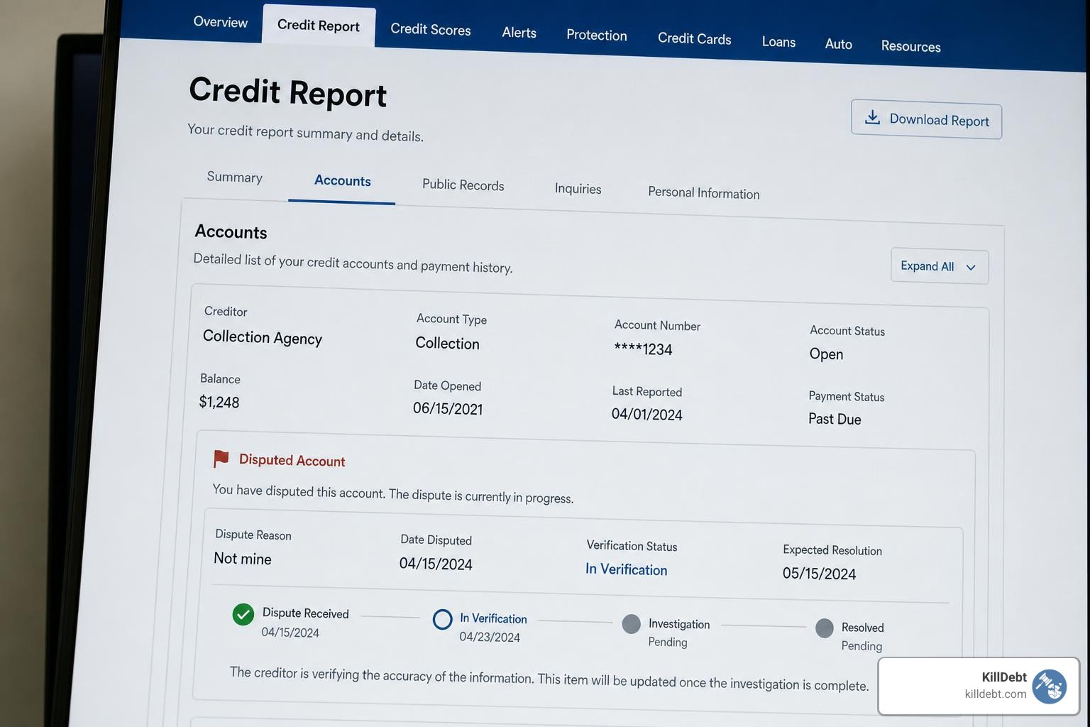 Credit report showing a disputed debt flag and verification status