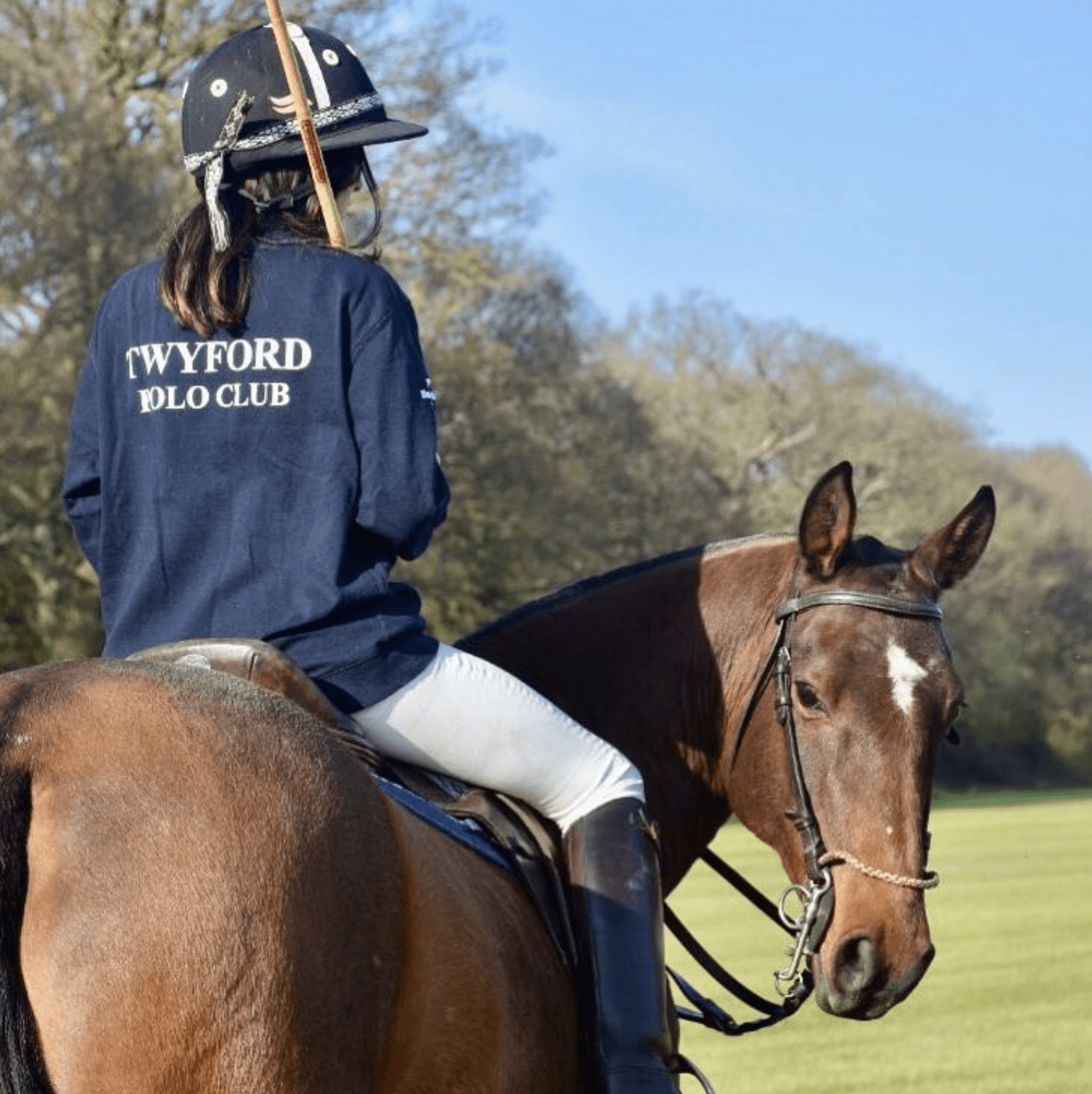 Beautiful landscaped garden with greenery and outdoor design elements.