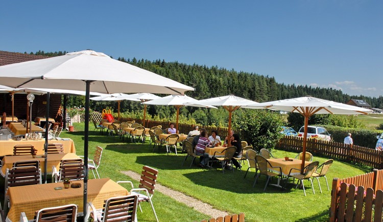 Close-up of lush, dark green leaves, some glossy and wet, against a muted background.