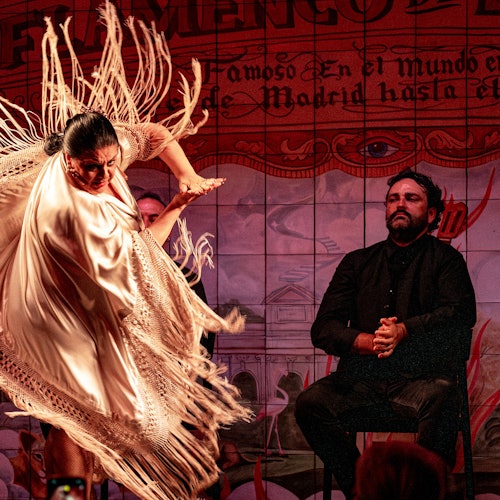 Pokaz flamenco w Flamenco de Leones + bilety na kolację w Madrycie