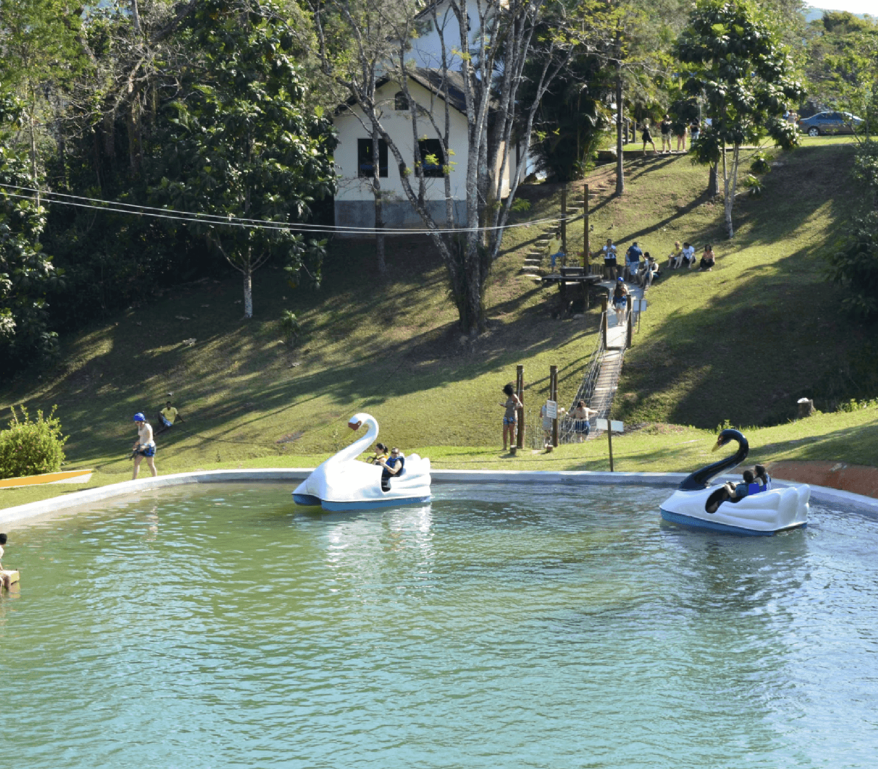 Man with surfing with paddle