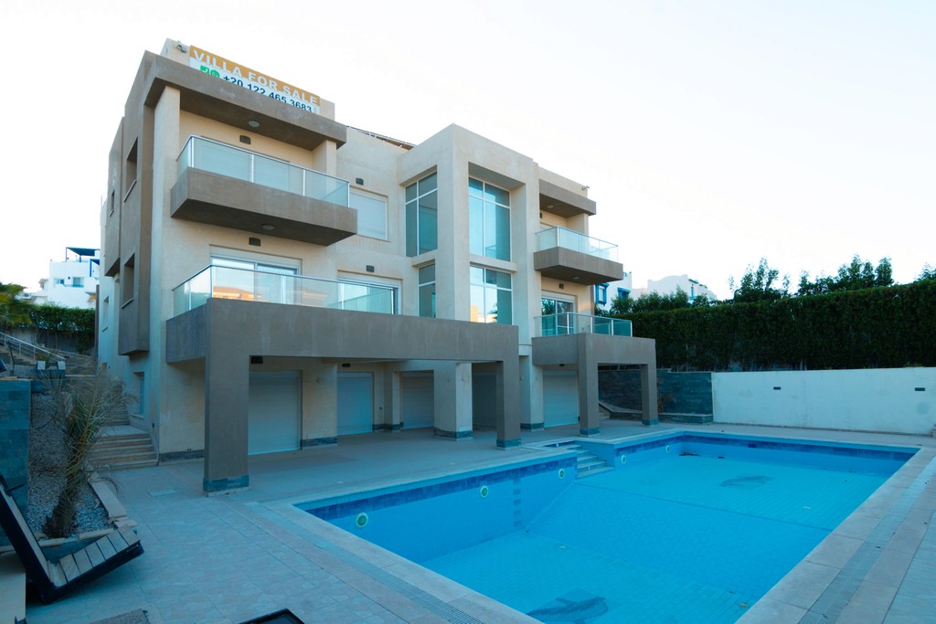 houses surrounded with plants