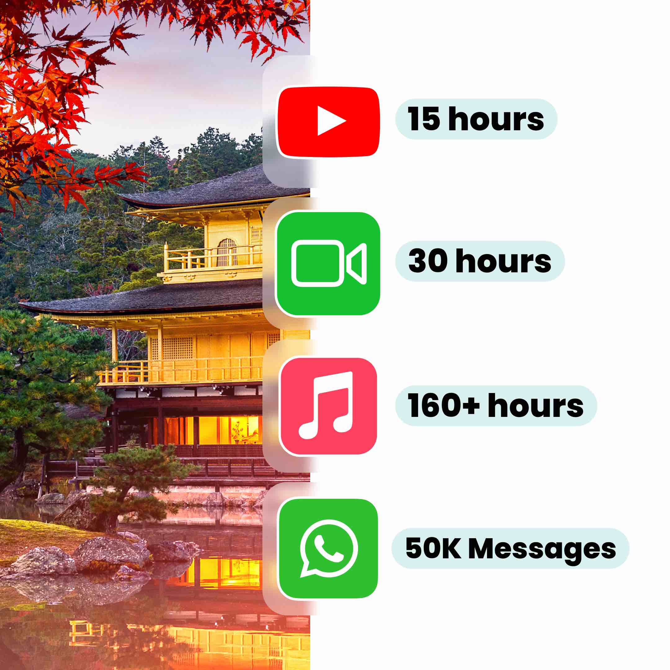 20GB Data Japan eSIM usage example